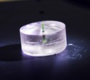Sample embedded in resin for cross-section analysis