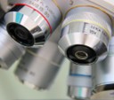 Optical microscopy equipment for cross-section analysis