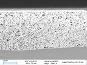 SEM BSE micro-section of Argomax film - image 1