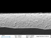 SEM BSE micro-section of Argomax film - image 2