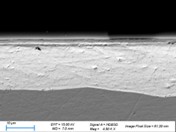 SEM BSE micro-section of Argomax film - image 3