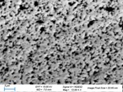 SEM BSE micro-section of Argomax film - image 4