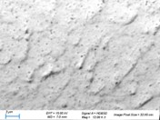 SEM BSE micro-section of Argomax film - image 5