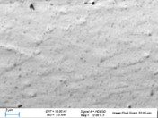 SEM BSE micro-section of Argomax film - image 6